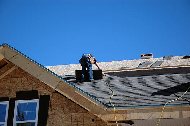 Best Roof Gutter Cleaning  in Upper Saddle River, NJ